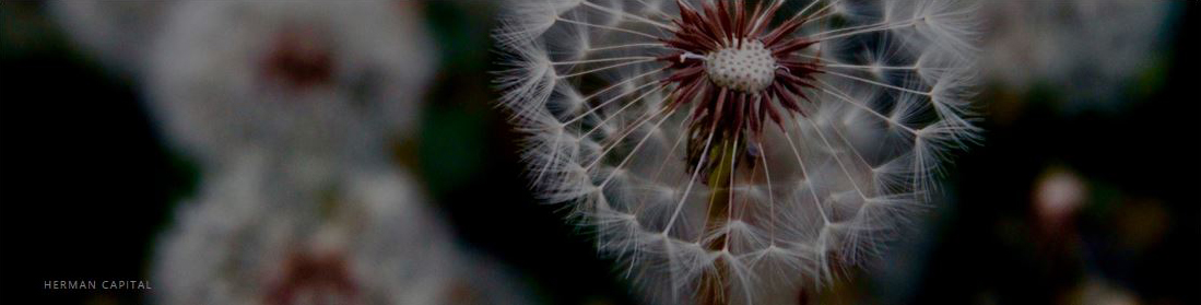 Herman Capital Private Limited